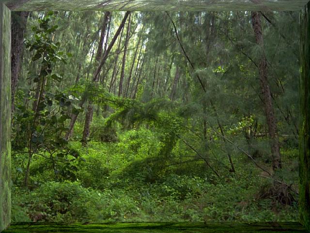 � Planet Medien AG