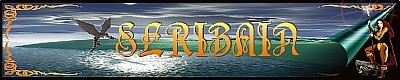 19,3 kB